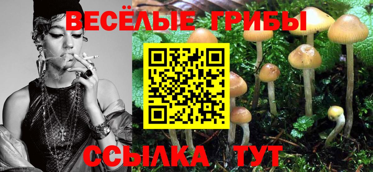 Анжеро-Судженск  Галлюциногенные грибы прущие грибы  Вход с VPN  Галлюциногенные грибы прущие грибы 