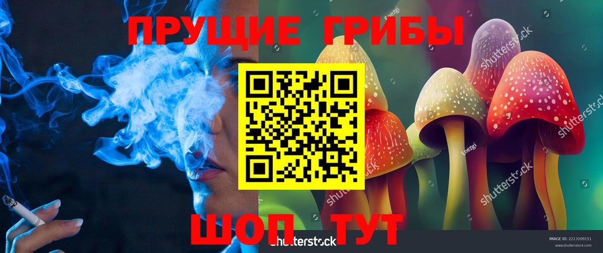 Галлюциногенные грибы Magic Shrooms Анжеро-Судженск